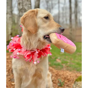 Midlee - Valentine's Heart Decorative Dog Collar - Southern Agriculture 