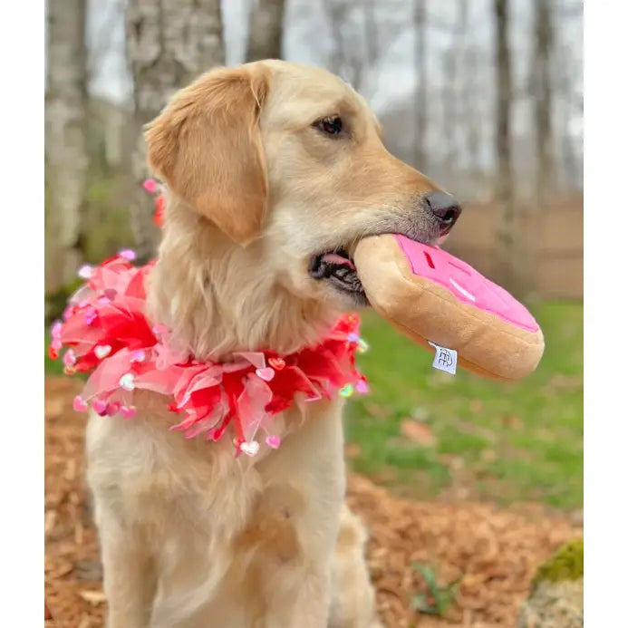 Midlee - Valentine's Heart Decorative Dog Collar - Southern Agriculture 