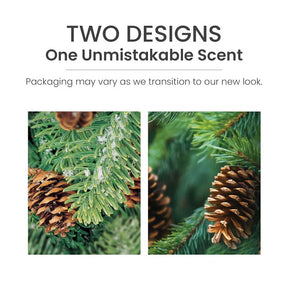 Yankee Candle - Wax Melt Balsam & Cedar