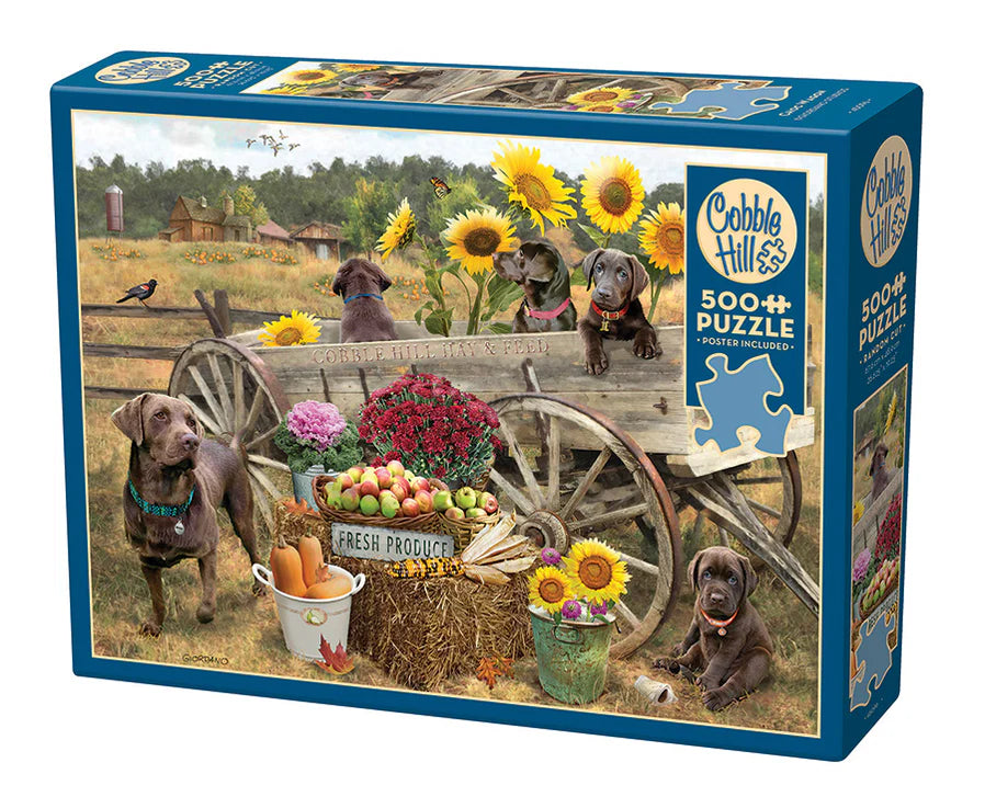 Outset Media - Puzzle Choc Wagon