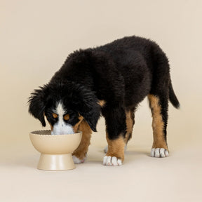 Petshop by Fringe Studio - Feeder Raised Sand