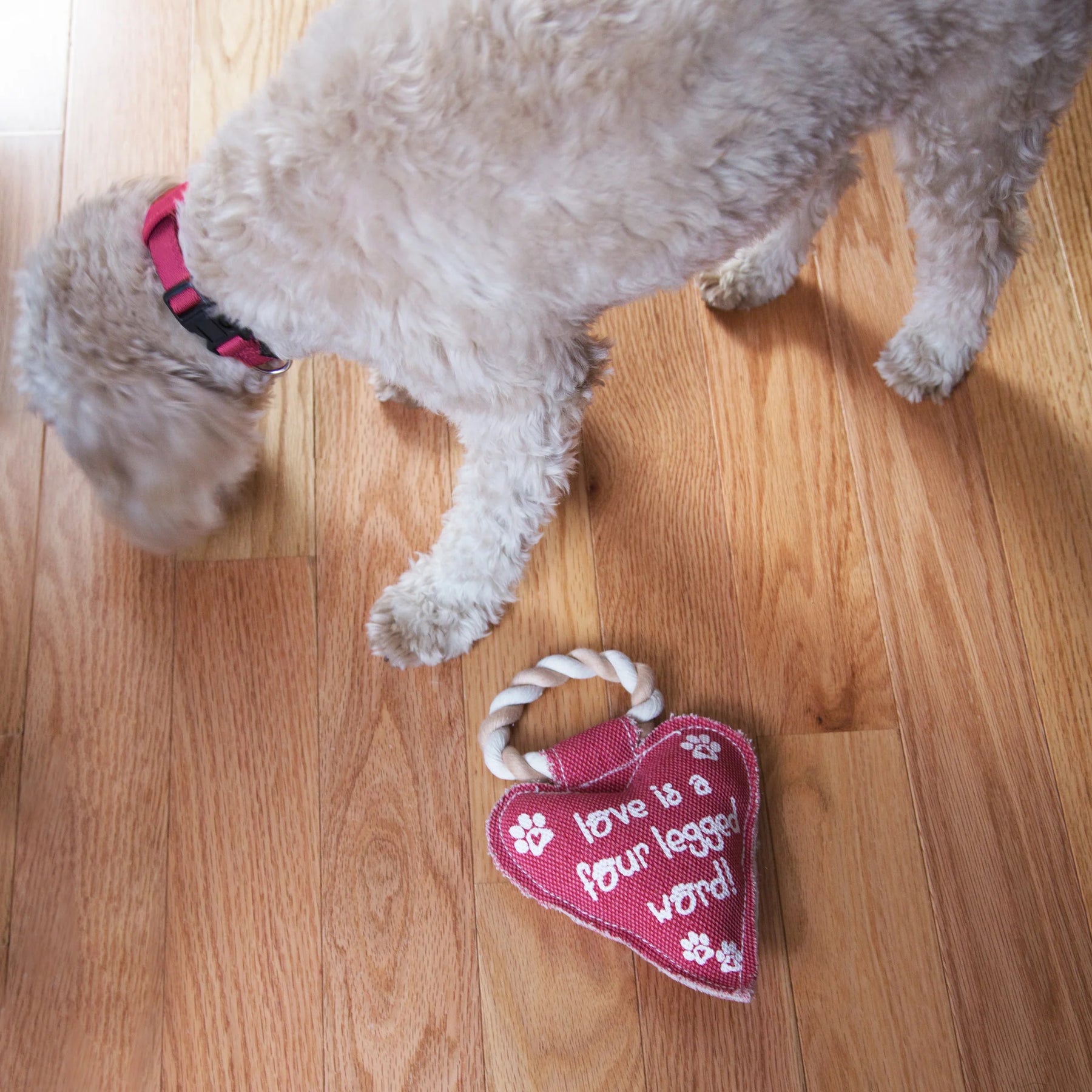 Pavilion - Canvas Dog Toy On Rope "Love is a 4 Legged Word"
