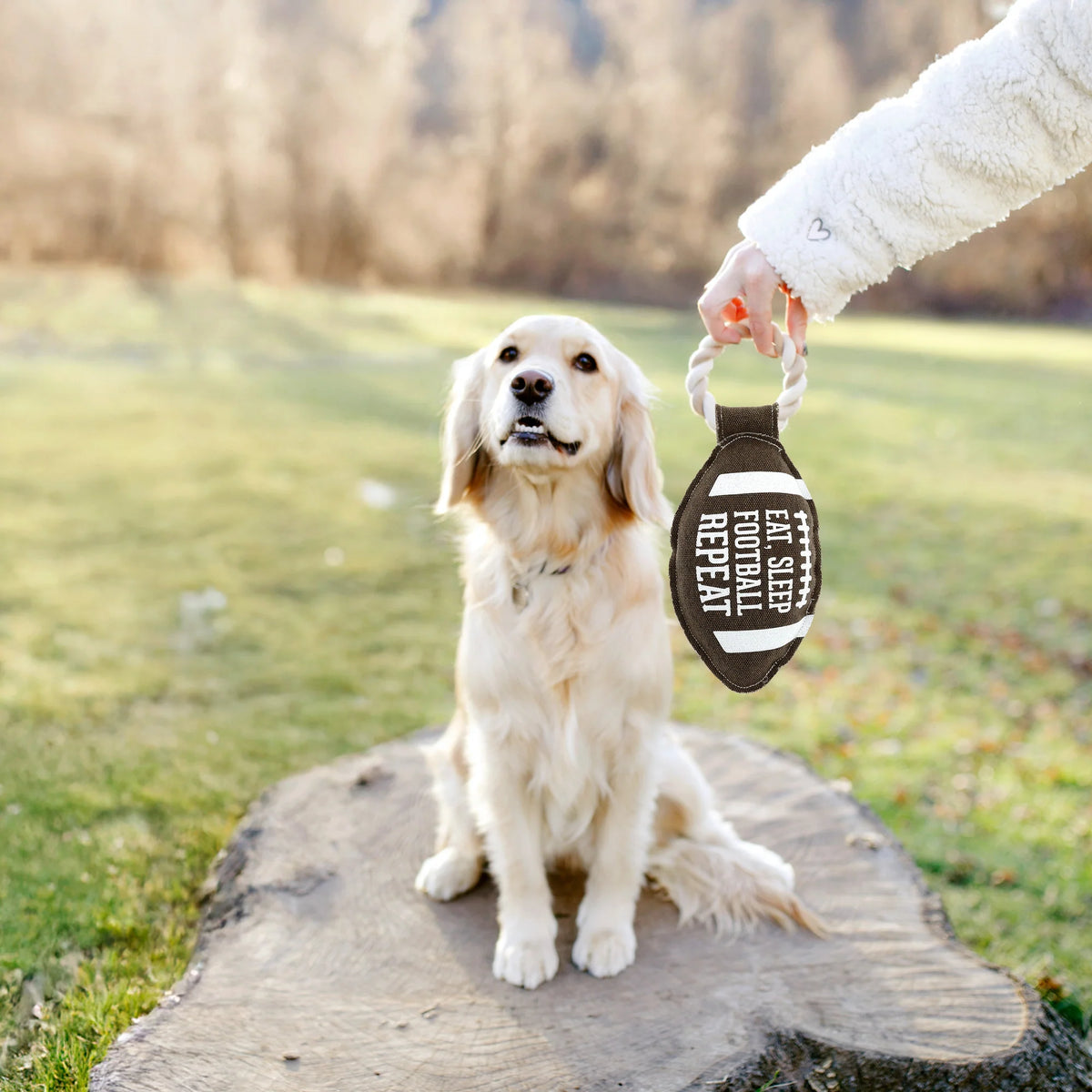 Pavilion - Canvas Dog Toy On Rope Football