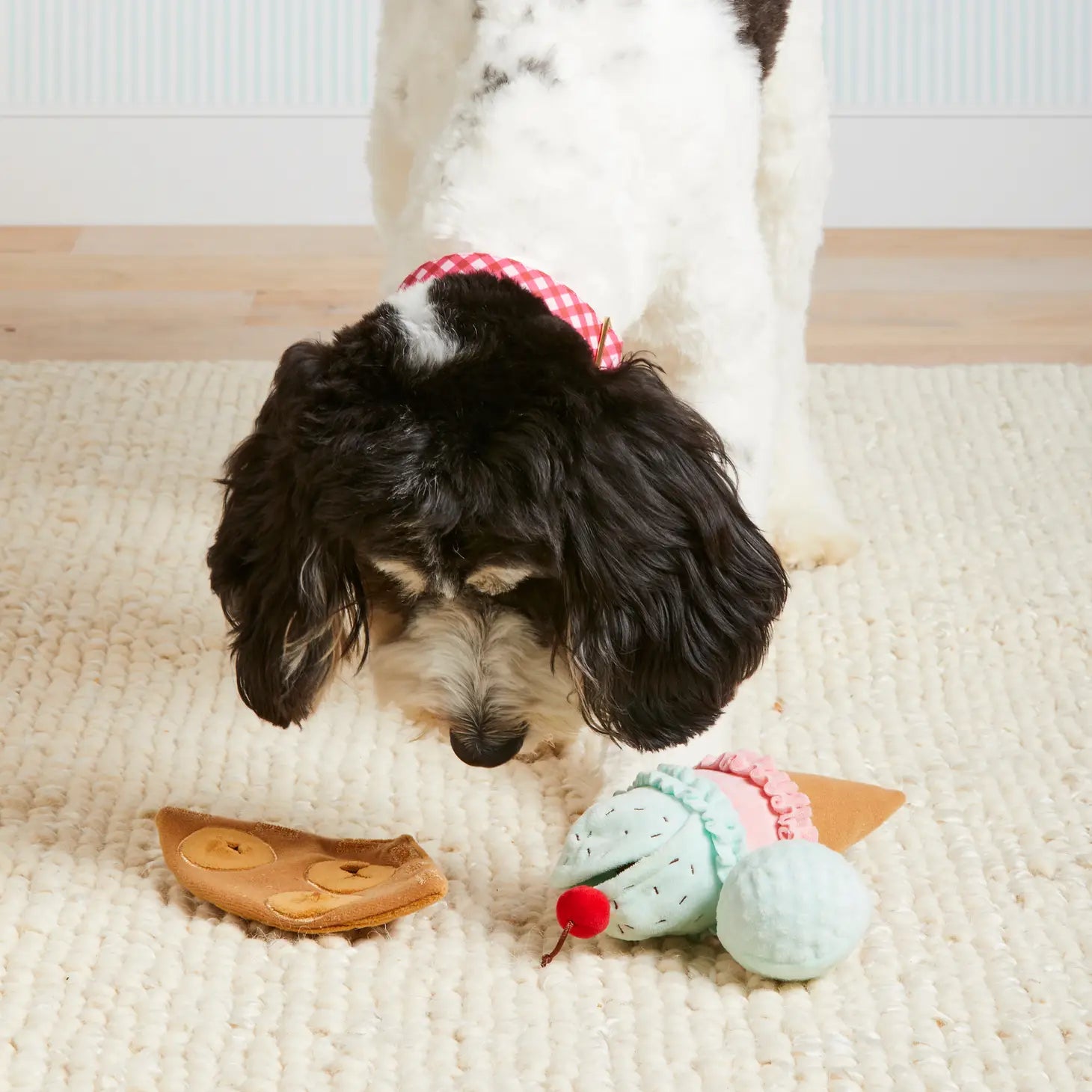 The Foggy Dog - Ice Cream Dog Toy