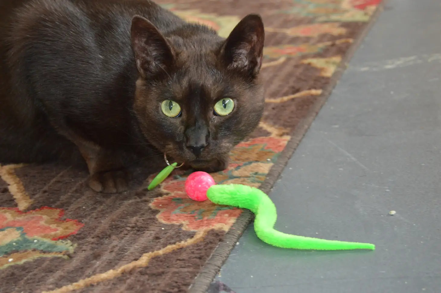 Dezi & Roo - Cat Toy Wiggly Ball