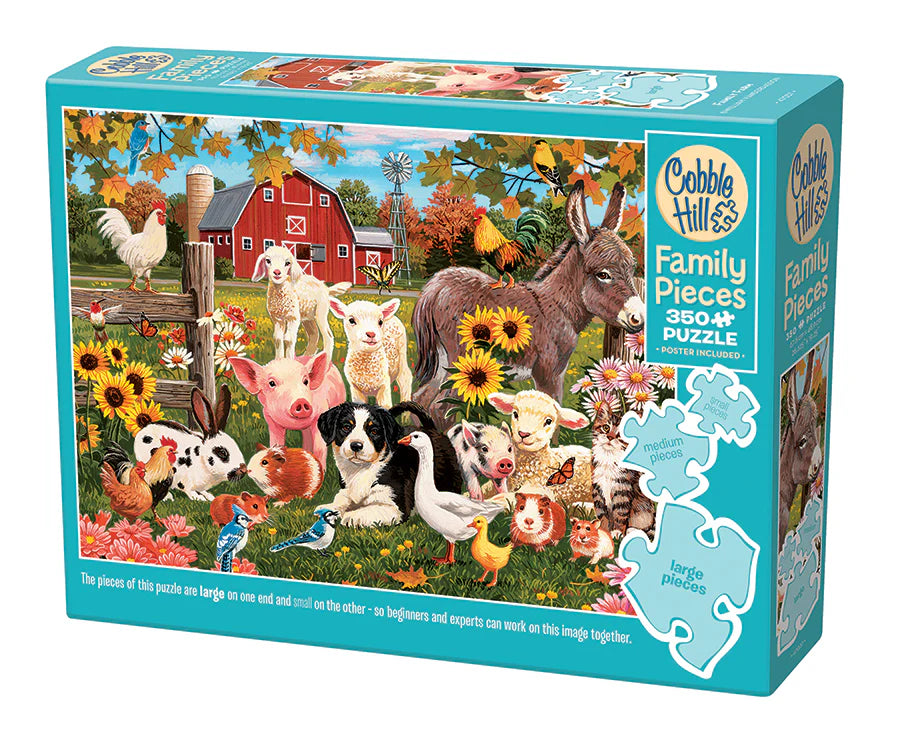 Outset Media - Puzzle: Family Fun