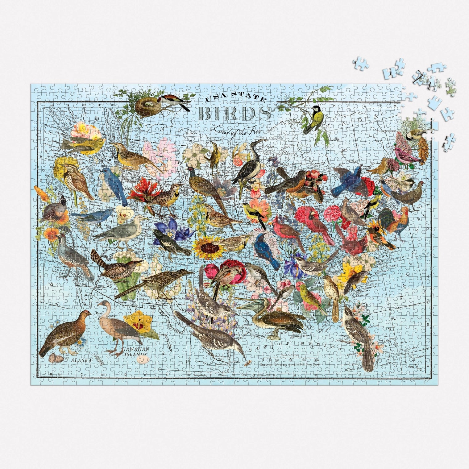 Chronicle-Hachette Book - Puzzle Wendy Gold State Birds
