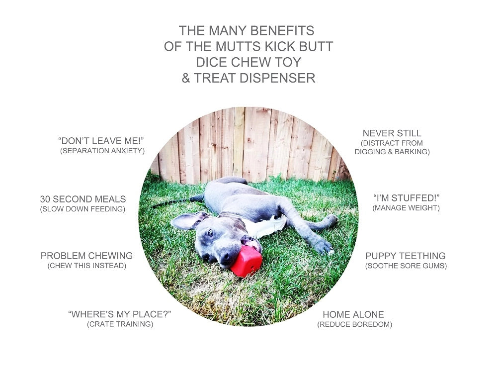 SodaPup - Dice Dog Toy & Treat Dispenser
