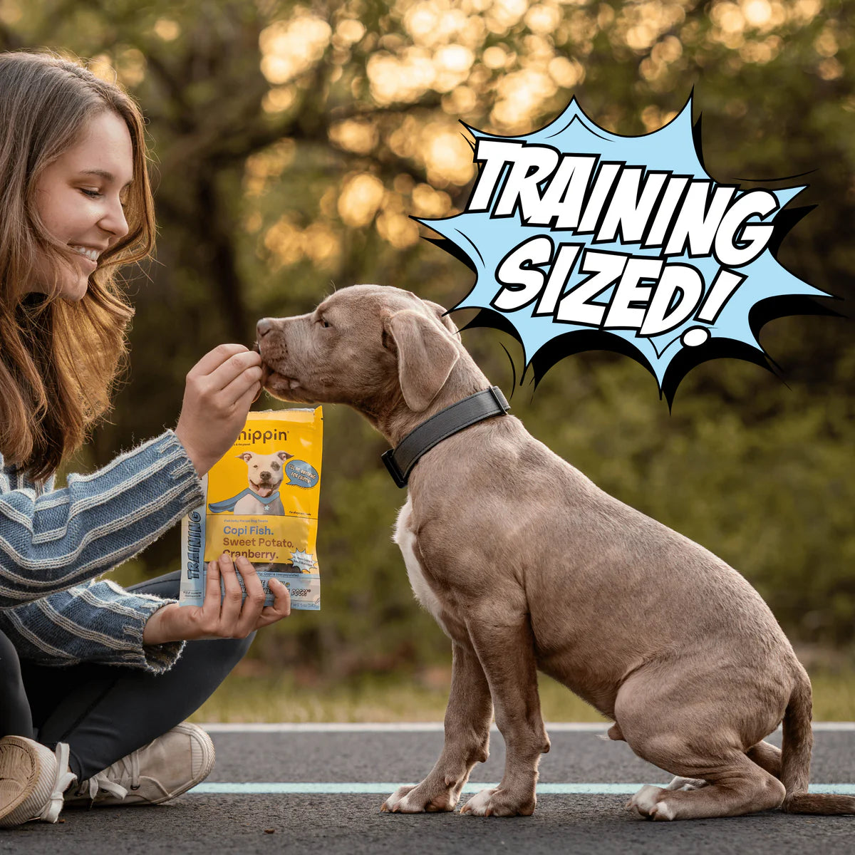 Chippin - Training Bites