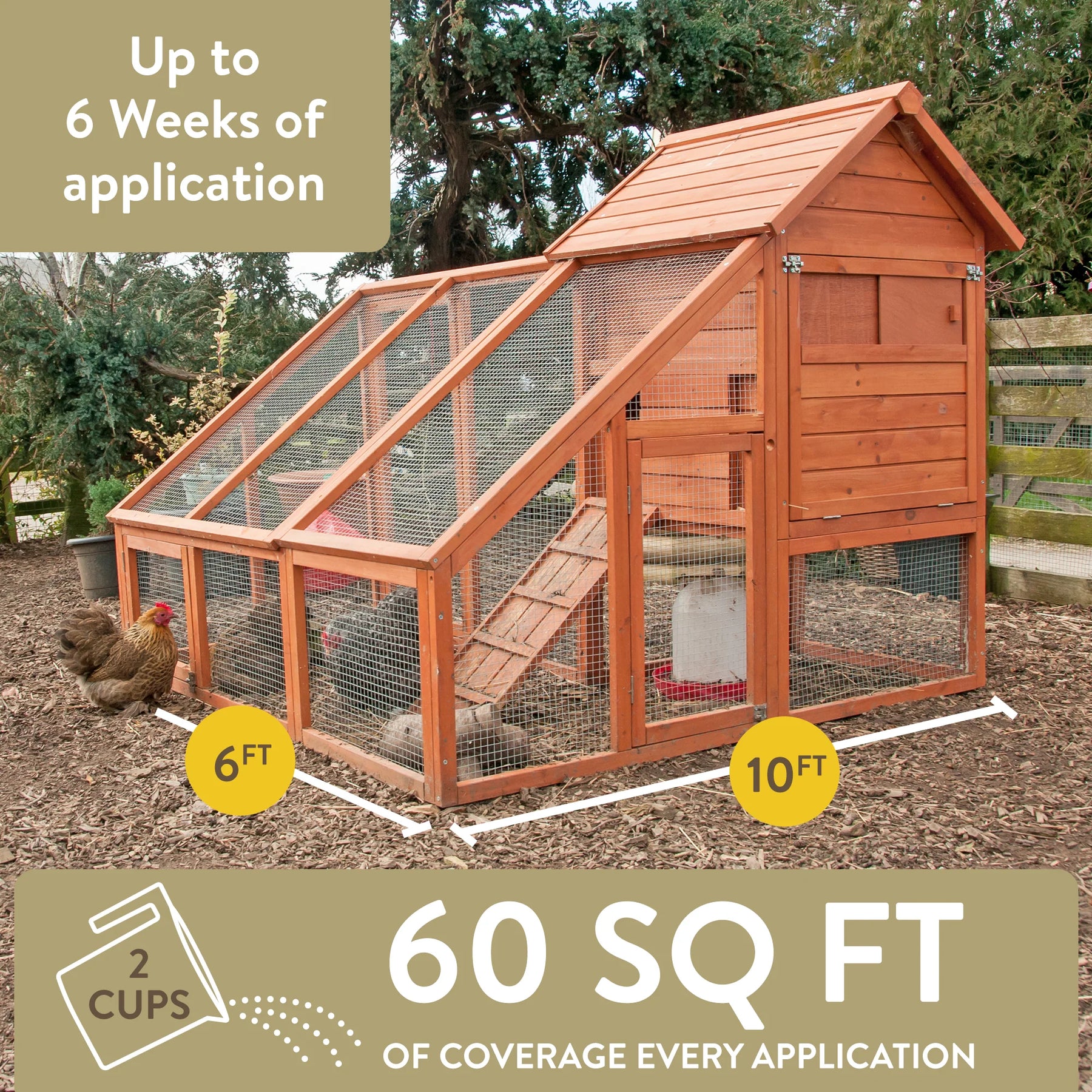 Perdue - Flock Leader Healthy Coop for Chickens