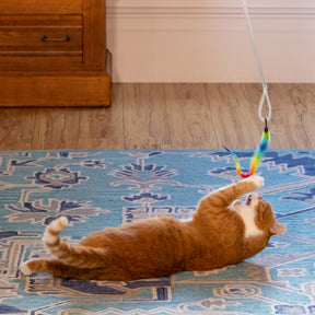 Squishy Face Studio - Cat Excercise Toy