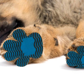 Bright Iris - Silicone Dog Paw Protector