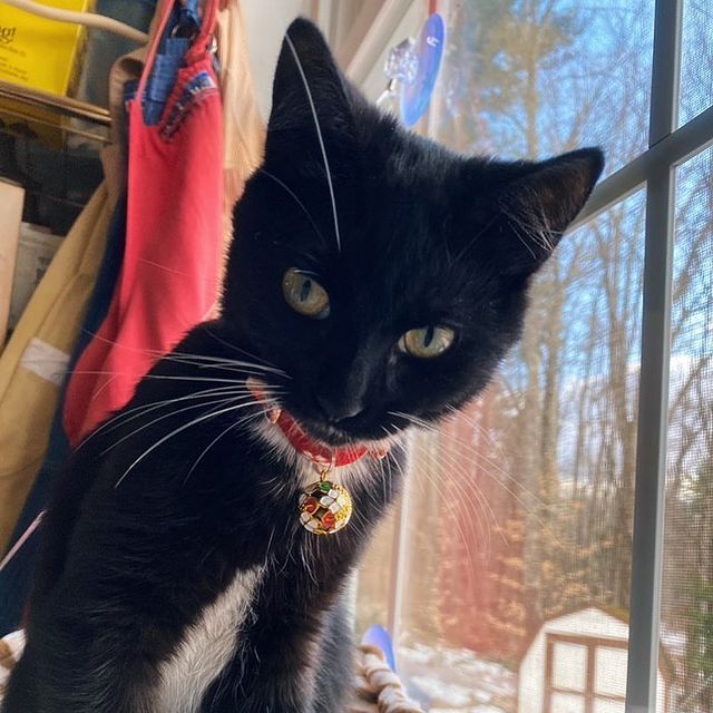 Moon-X USA - Cat Collar Chirimen Temari