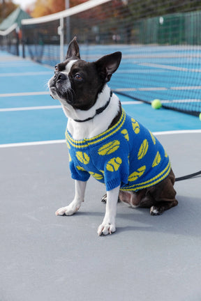 Chronicle-Hachette Book - Dog Sweater Brass Monkey Tennis Balls