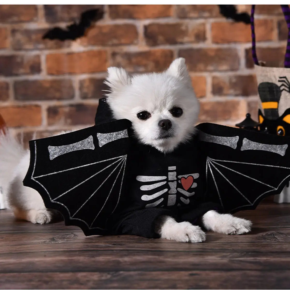 PawPaw Wholesale - Halloween Costume Bat Skeleton