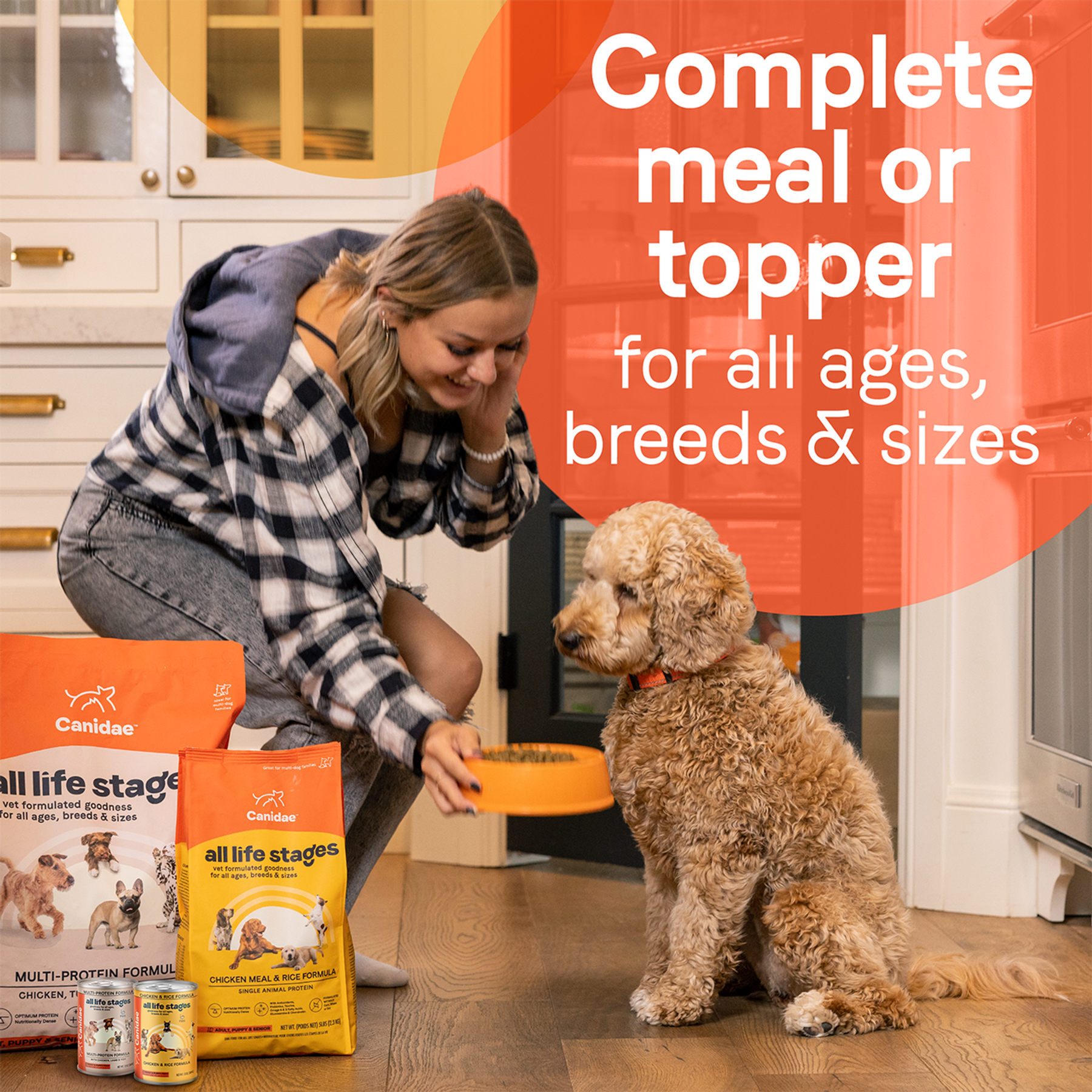 Canidae - All Dog Breeds, All Life Stages Chicken & Rice Formula Canned Dog Food - Southern Agriculture 