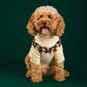 The Foggy Dog - Dog Sweater Holly Bobble
