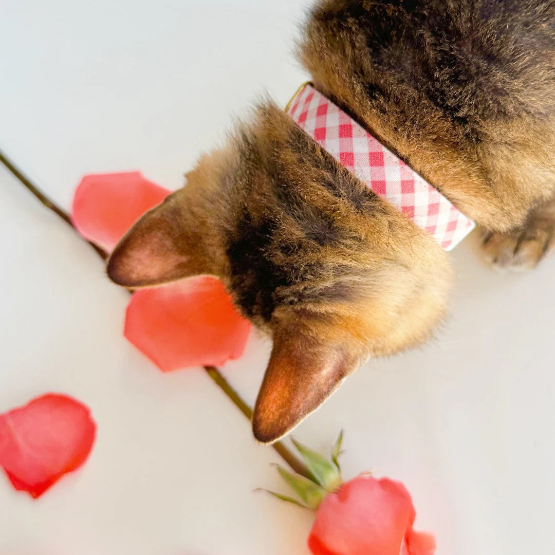 Made by Cleo - Cat Collar "Coquette" Pink Gingham Plaid with Gold Breakaway