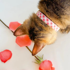 Made by Cleo - Cat Collar "Coquette" Pink Gingham Plaid with Gold Breakaway