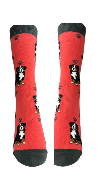 E & S Imports - Socks Bernese Mountain Dog Full Body