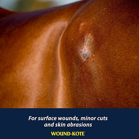 Farnam Companies - Wound Kote Aerosol