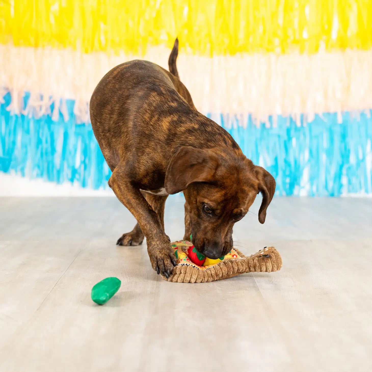 Petshop by Fringe Studio - Fiesta Till You Siesta Dog Toy - Southern Agriculture 