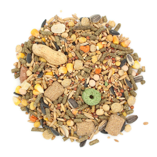Sunseed - Vita - Rat & Mouse Diet - Southern Agriculture 