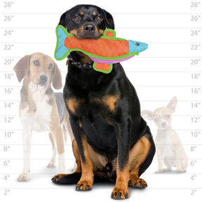 Tuffy Dog Toys - DuraForce Fish Durable Squeak Toy - Southern Agriculture 
