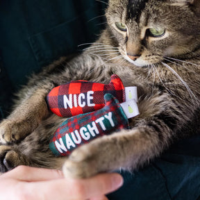 Pearhead - Holiday Naughty & Nice Fish Cat Toys