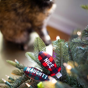 Pearhead - Holiday Naughty & Nice Fish Cat Toys