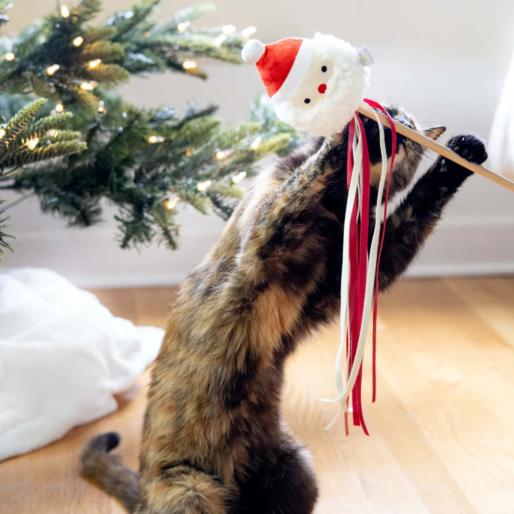Pearhead - Holiday Santa Head Teaser Cat Toy