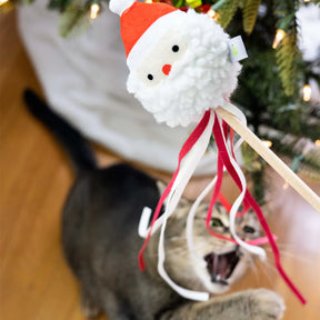 Pearhead - Holiday Santa Head Teaser Cat Toy