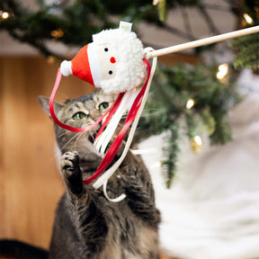 Pearhead - Holiday Santa Head Teaser Cat Toy