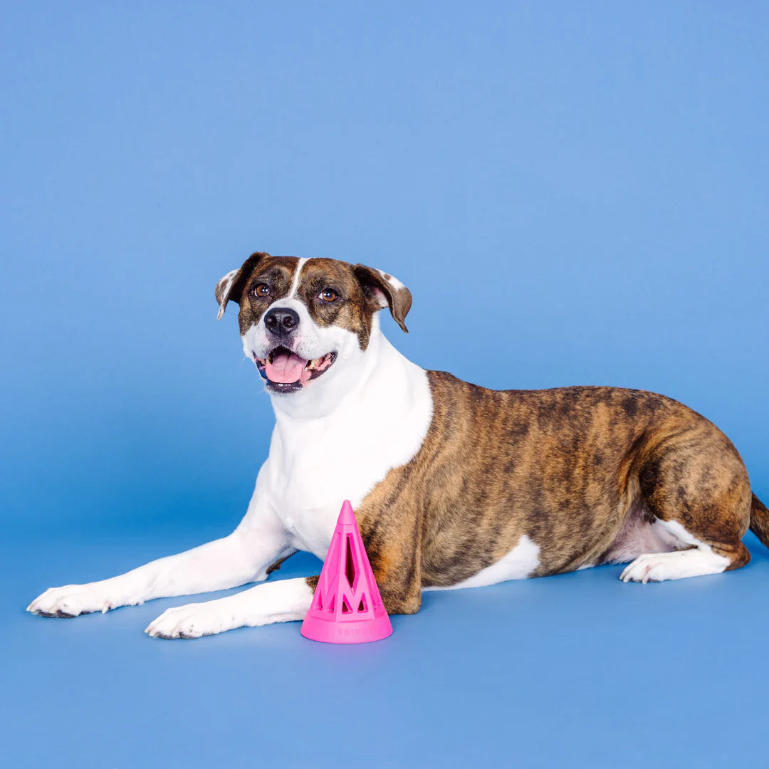 Petshop by Fringe Studio - You Cone Do It! Hot Pink Rubber Dog Toy
