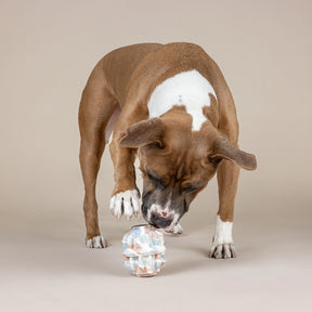 Petshop by Fringe Studio - Dog Toy Geometry Rubber Dispenses Treats