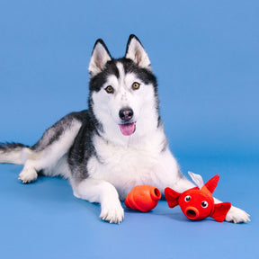 Petshop by Fringe Studio - Dog Toy Reel Me In