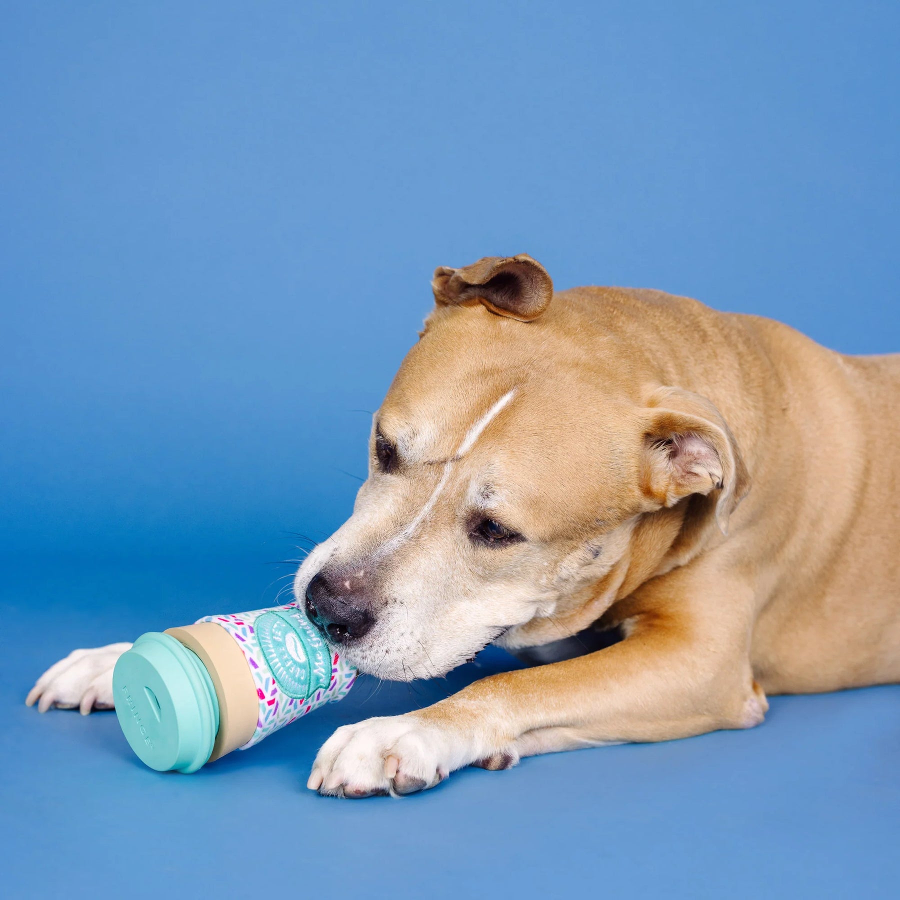 Petshop by Fringe Studio - Dog Toy Coffee Gets Me Going
