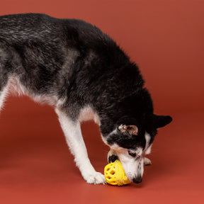 Petshop by Fringe Studio - Dog Toy Plush Pining For You