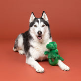 Petshop By Fringe Studio - Dog Toy UNLEASH THE DINO TPR