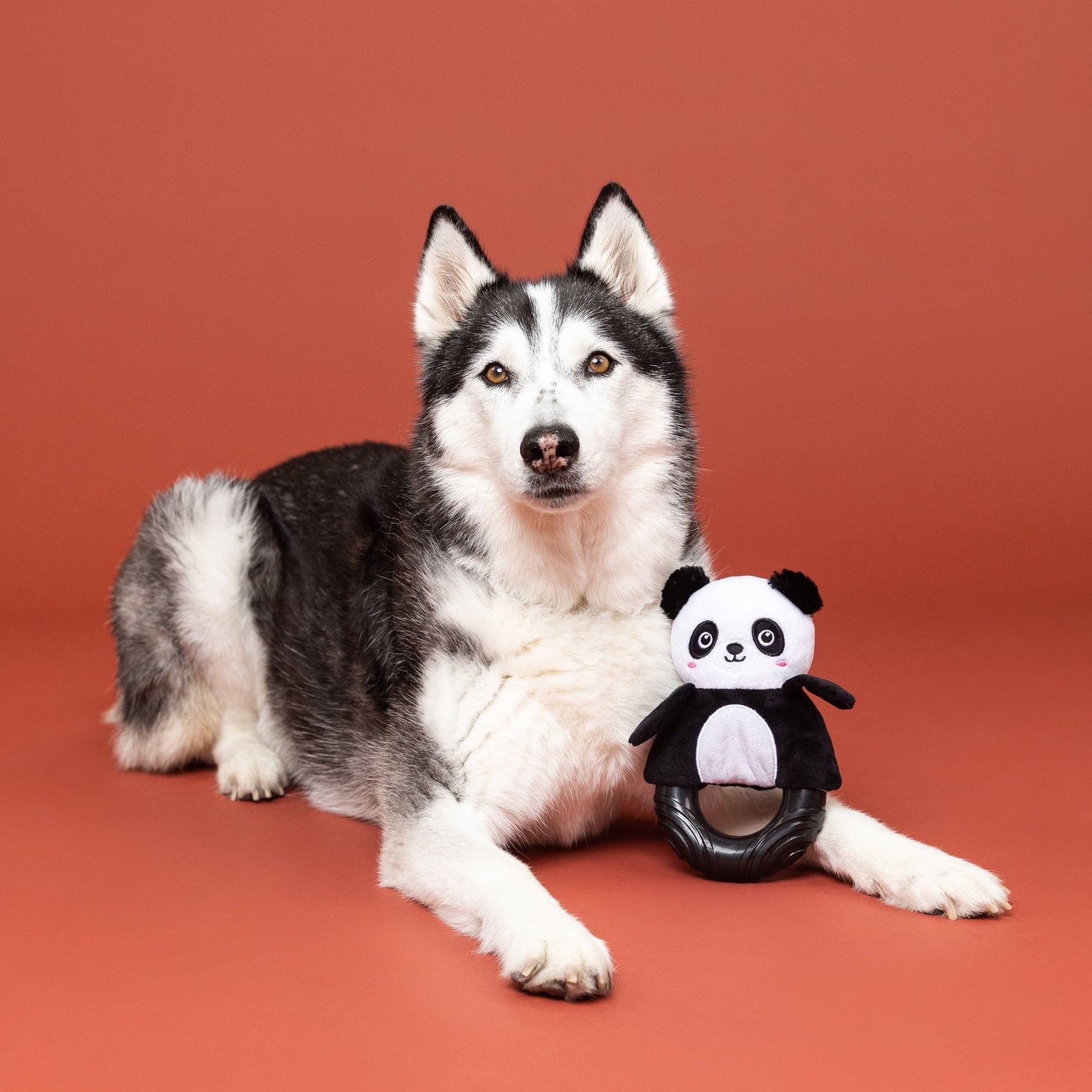 Petshop by Fringe Studio - Dog Toy Plush Stupandaous