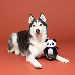 Petshop by Fringe Studio - Dog Toy Plush Stupandaous