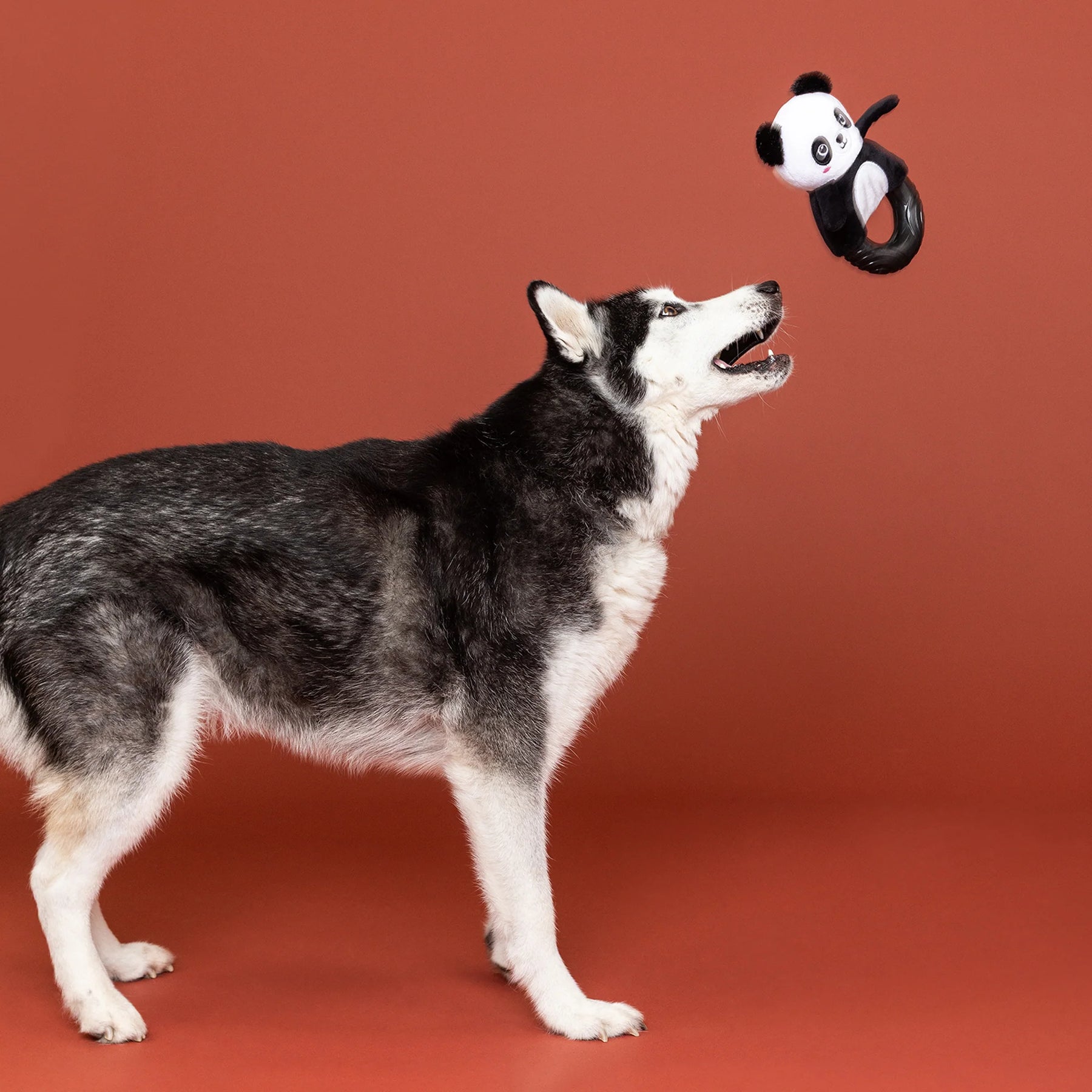 Petshop by Fringe Studio - Dog Toy Plush Stupandaous