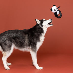 Petshop by Fringe Studio - Dog Toy Plush Stupandaous