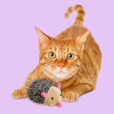 Ethical Pet Products - Ethical Spot - Jittery Pets Hedgehog