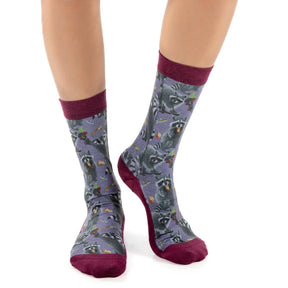 Good Luck Sock - Hungry Raccoons