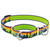 Lupine Pet - Choke Collar Nylon Adjustable High Country