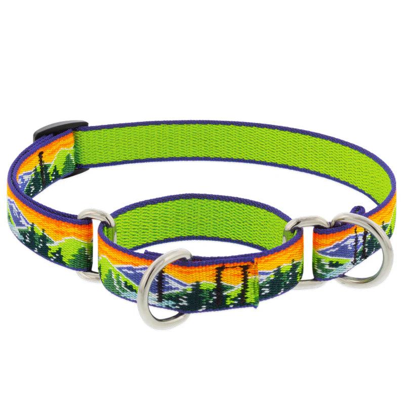 Lupine Pet - Choke Collar Nylon Adjustable High Country