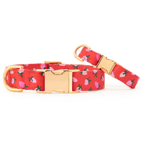 The Foggy Dog - Dog Collar Berry Sweet