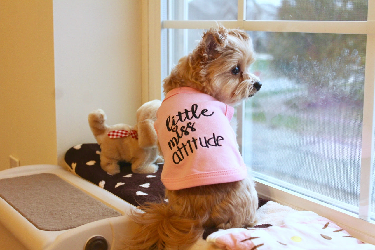 Parisian Pet - Dog T-Shirt Little Miss Attitude