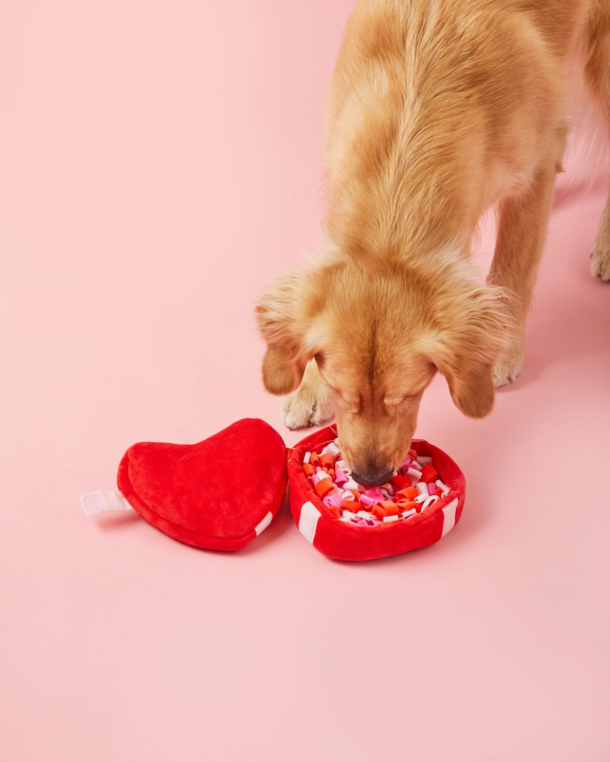 The Foggy Dog - Dog Toy Be My Valentine Interactive Snuffle Heart Box - Southern Agriculture 